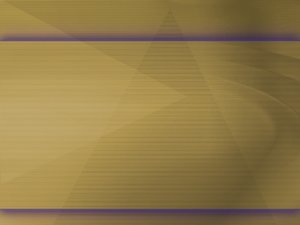 数字化转型对比评测：不同预算方案对比